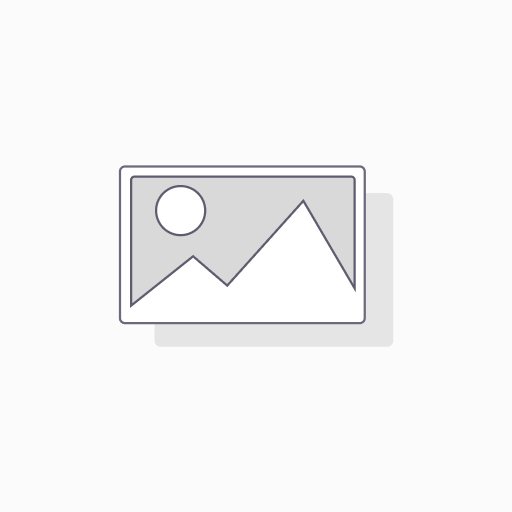 [717] VINO M. CHAPOUTIER SCHIEFERKOPF GEWÜRZTRAMINER 2022 750 ML